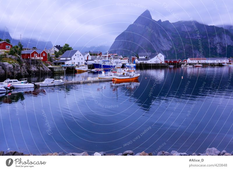 Lofoten Landscape Nature Water Bad weather Fog Mountain Fjord Norway Lofotes Fishing village Harbour Tourist Attraction Vacation & Travel Exterior shot Day