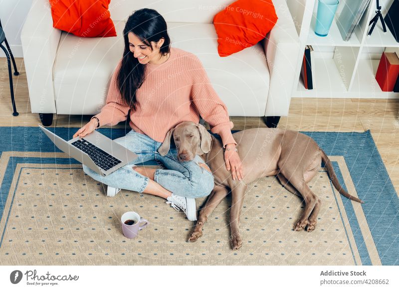 Happy woman with purebred dog using laptop at home together pet best friend love companion breed loyal female owner watch cheerful happy weimaraner browsing