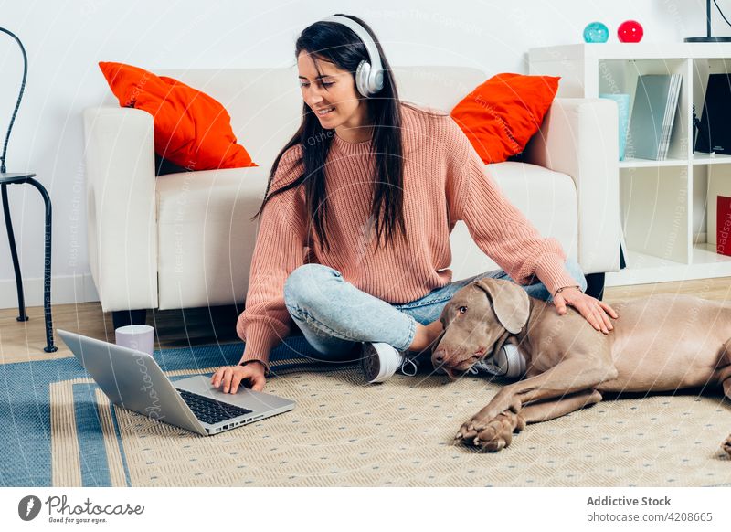 Happy woman with purebred dog using laptop at home together pet best friend love companion breed loyal female owner watch cheerful happy weimaraner browsing
