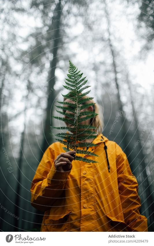 Hiker covering face with fern leaf in forest hiker cover face natural botany wanderlust explore woman portrait lush vascular tourist hide woods woodland