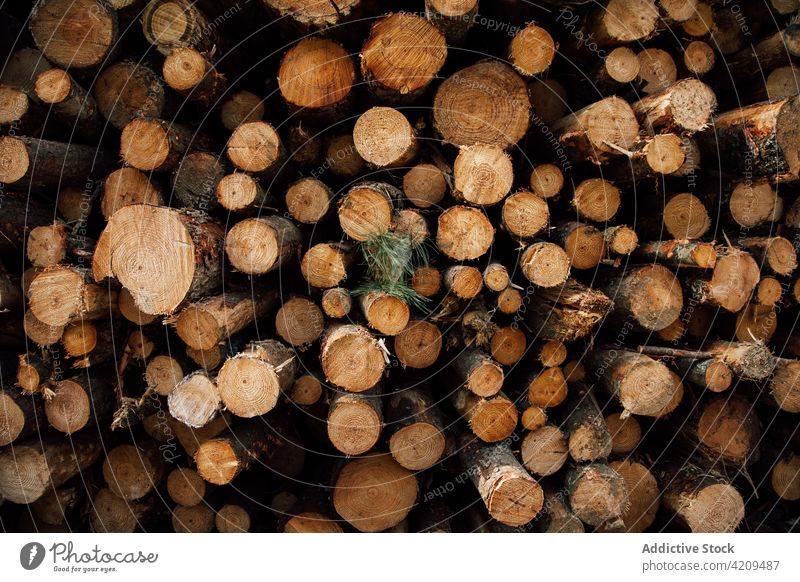 Textured backdrop of firewood with dry rough bark natural background row storage uneven texture countryside plant sprig brown heap green color dense structure