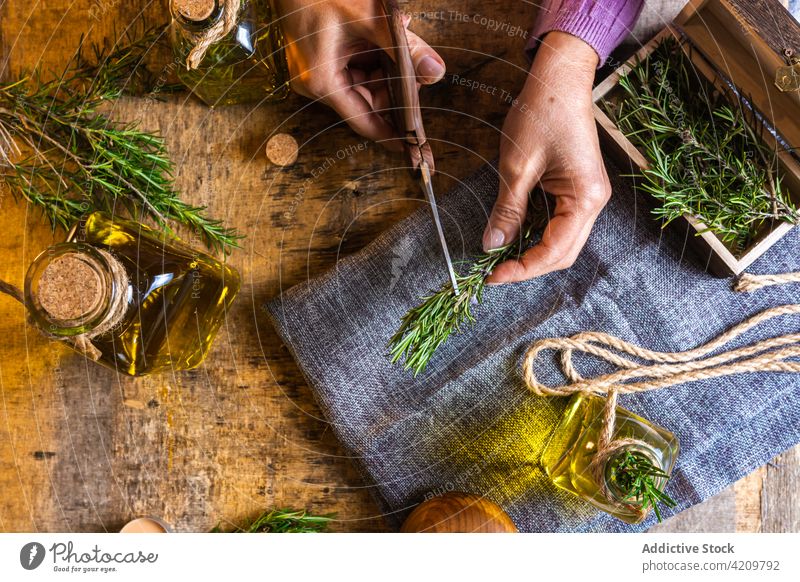 Unrecognizable woman cutting herbs on textile near bottles with oil rosemary scissors table chest fabric female essential artisan small business craft rope