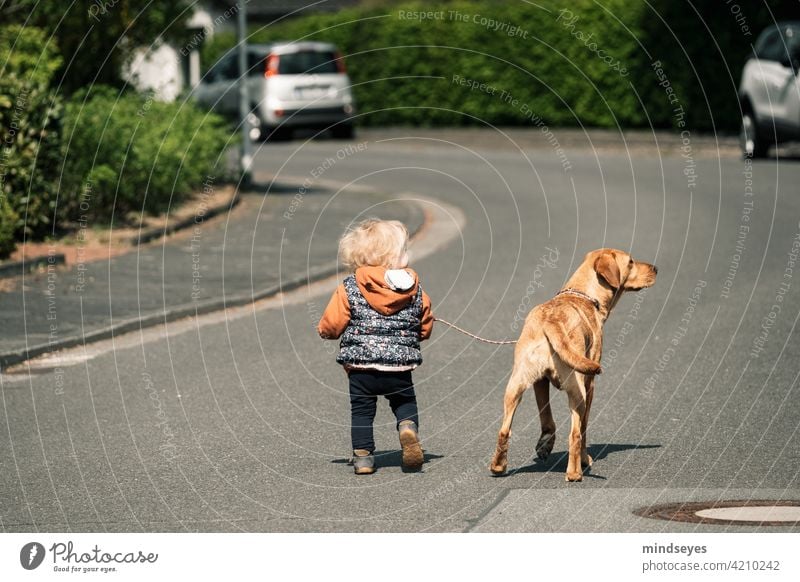 Little girl walking with dog on leash in the street Family Photography Spring Child Girl Infancy animals Friendship four paws Pet Dog Labrador Happy