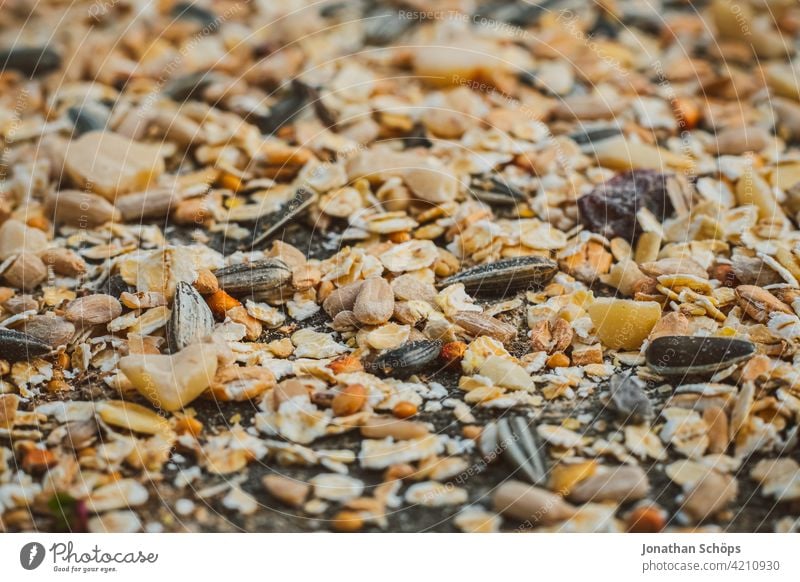 Bird food for the winter Birdseed Winter Autumn Forest Garden Close-up grains Feed macro Nature Exterior shot Colour photo Day Deserted Feeding Feeding area