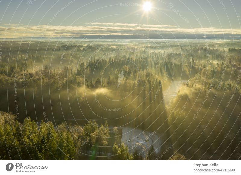 Wonderful foggy morning with an aerial view over a misty forest at the winter season while the sun is warming the treetops. abstract nature landscape weather
