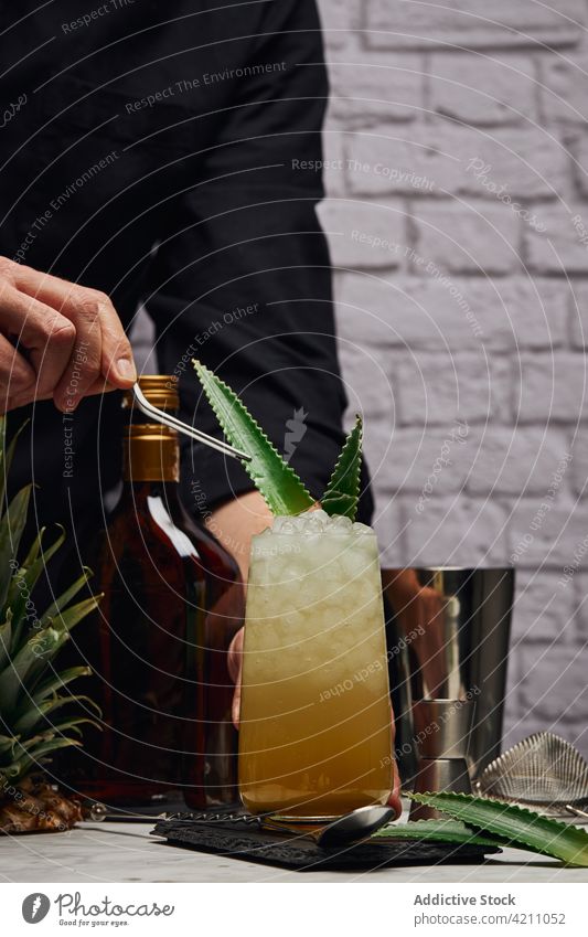 Anonymous barman decorating cocktail with leaves near shaker and bottle glass ice cube bartender leaf counter male coaster refreshment palatable ingredient