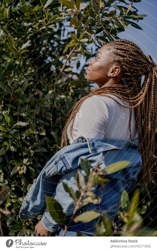 Stylish black woman in denim clothes in park outfit style cool summer sunny braid hairstyle female ethnic african american green garden stand individuality