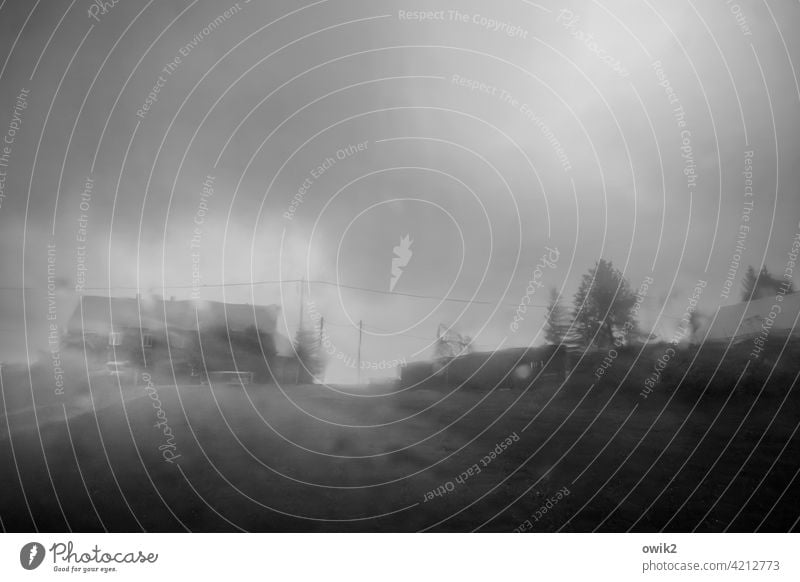 Like from cans Rain Bad weather Wet Car window somber Horizon House (Residential Structure) hazy Tree Meadow Clouds Raincloud Covered Black & white photo