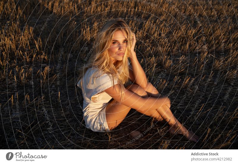 Serene woman sitting on dry field in countryside serene peaceful relax meadow rural summer harmony female calm nature young tranquil lady freedom carefree