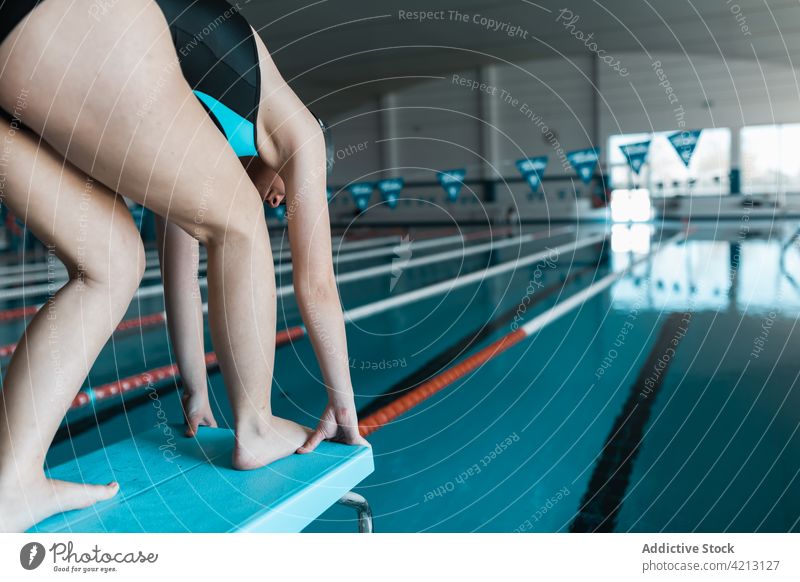 Swimmer preparing to jump into the water sport swimmer female woman pool athlete young swimwear podium trampoline training blue people cap competition person