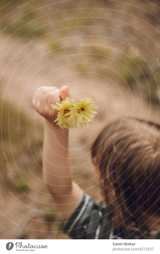 Child with flowers in hand Nature Flower Plant Blossom Garden Colour photo pretty Blossoming Exterior shot Yellow Environment raised a hand Arm