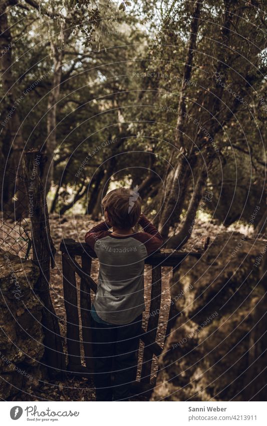 Child at the fence in the forest Human being Fence Exterior shot Colour photo Forest Nature Infancy Day Tree Boy (child) Environment Playing