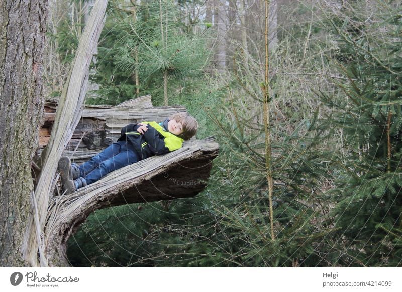 a bed in the forest ;-) - Child lying in the forest on the broken part of a tree trunk Human being Boy (child) Forest Tree trunk aborted Lie Break Storm damage
