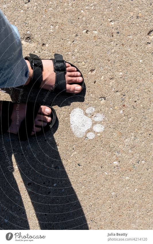 Looking down at a spray painted stencil of a dog paw foot print on the sidewalk; person with sandals stands nearby casting a shadow pawprint footprint