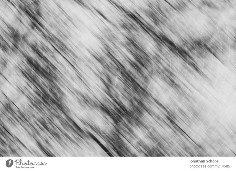 Motion blur in forest black and white motion blur Tree Forest Tree tops swift Speed mazy Intoxication Black & white photo Exterior shot Movement Nature Deserted