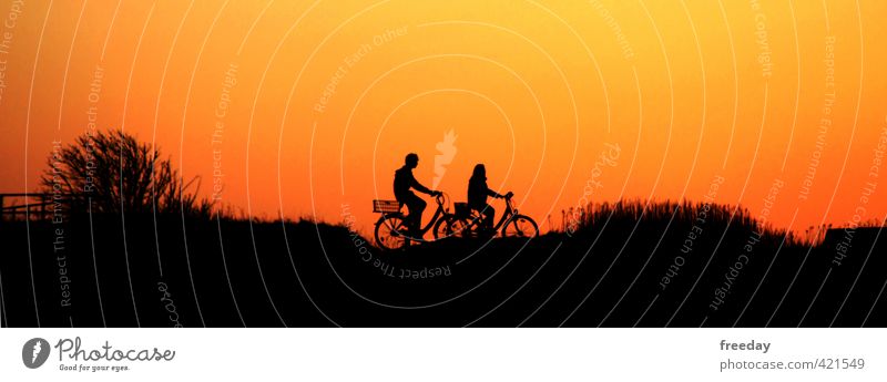biking on the dike Joy Happy Bicycle Cycling Cycling tour Vacation & Travel Tourism Freedom Sports Fitness Sports Training Human being Masculine Feminine