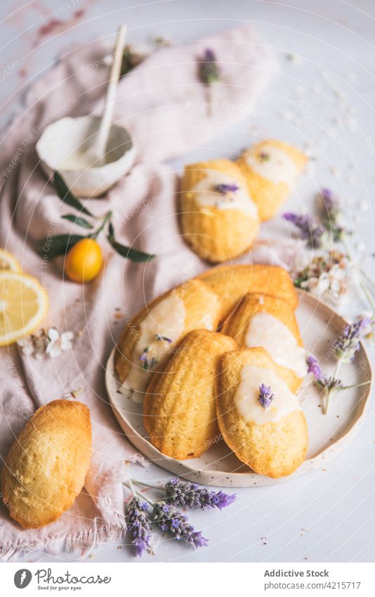Delicious lemon madeleines on fabric with sugar glaze pastry cake treat sweet tasty lavender baked delicious organic fruit vitamin natural fresh citrus aroma