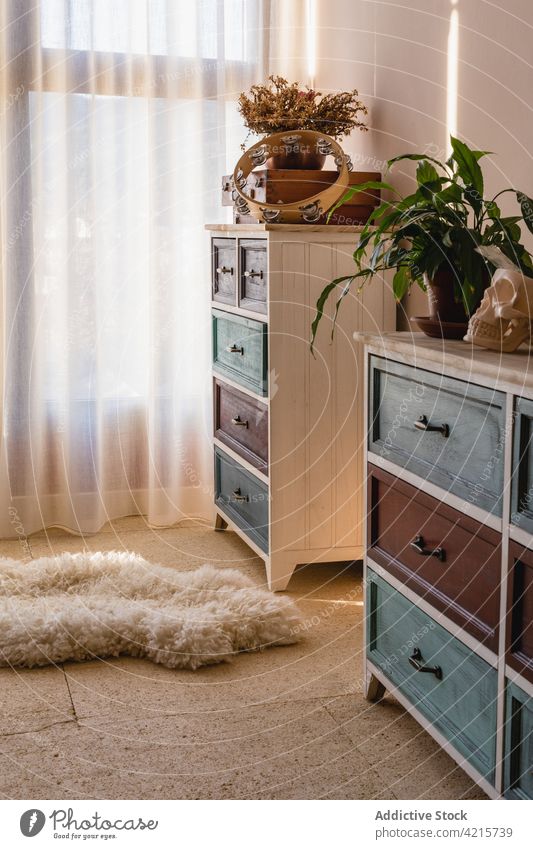 Room interior with commodes and soft carpet in flat room chest of drawers plant skull decorative rug curtain natural apartment dead vegetate pot fluffy floor