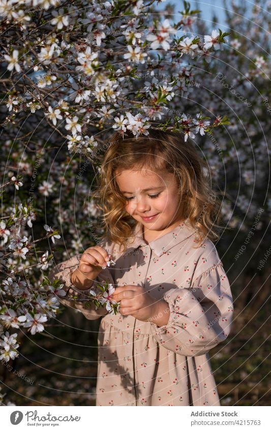 Cute little girl in blooming garden in spring flower tree portrait cheerful blossom floral dress park child cute smile kid happy childhood adorable glad joy