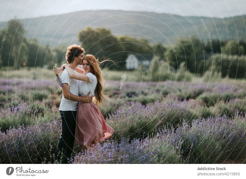 Couple standing in blooming lavender field couple flower meadow embraced hug cuddle tender love blossom romantic nature together aroma summer floral