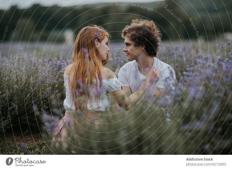 Couple sitting in blooming lavender field couple flower meadow tender love blossom romantic nature together aroma summer floral relationship fragrant gentle