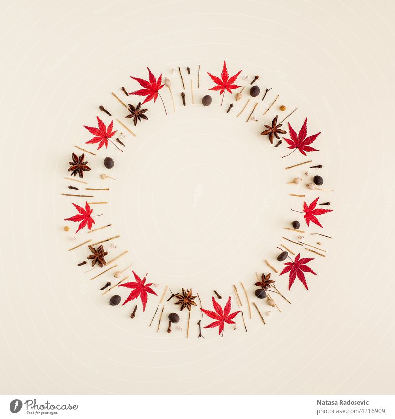 Creative layout with leaves and branches laid in a circle on a cream background. Abstract vision in a minimalist style Circle Contemporary Minimalist art autumn