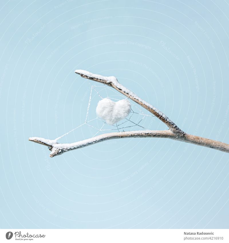 A white heart in a spider's web on a branch covered with snow isolated on a pastel blue background. Winter motif. Abstract Contemporary Horizontal Square