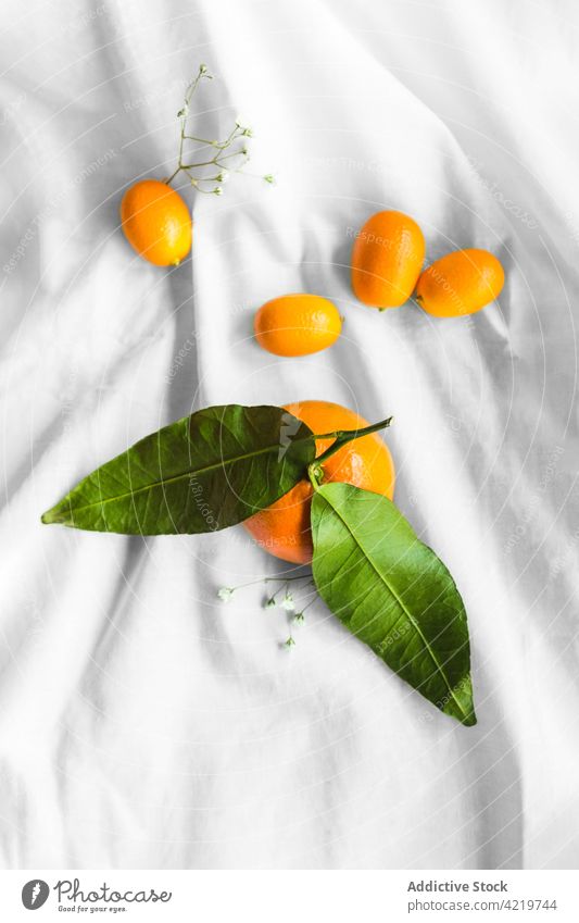 Fresh mandarins on crumpled textile fruit citrus tropical exotic fresh natural bright tangerine ripe organic vitamin delicious flower bloom leaf flora colorful