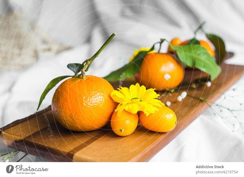 Fresh mandarins and kumquats on cutting board on crumpled textile chrysanthemum fruit citrus tropical exotic fresh natural bright tangerine ripe organic vitamin