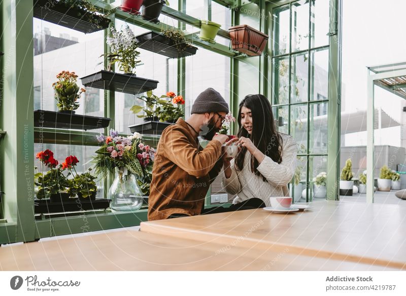 Happy couple drinking beverages in cafe together cup flower flora table romantic date love hot drink blossom relationship flowerpot potted coffee happy tea
