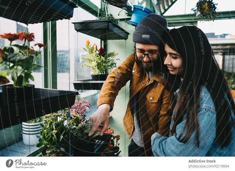 Couple choosing flowers in greenhouse couple choose together pick glasshouse bloom potted hug cheerful style smile happy relationship garden plant positive