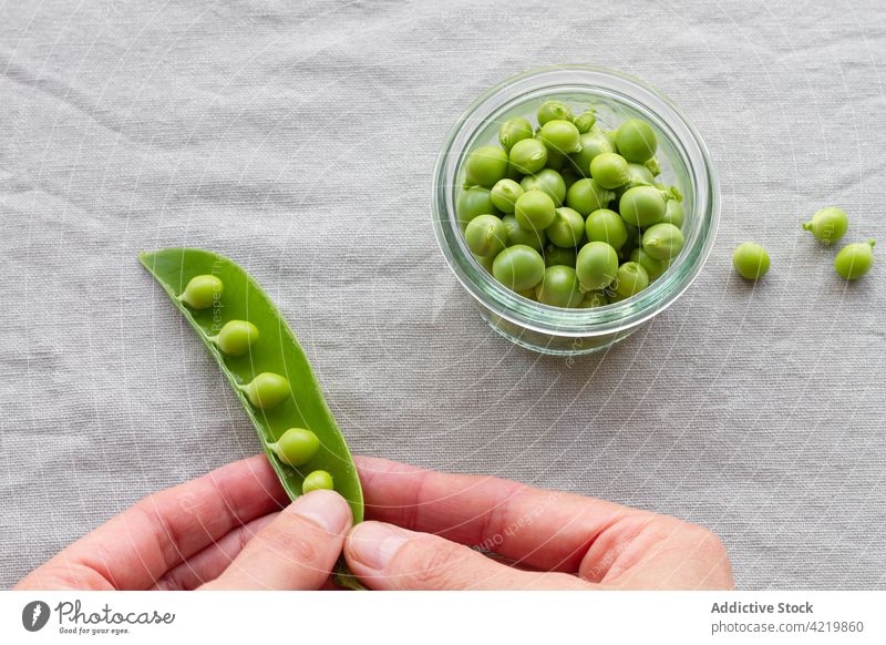 Anonymous person peeling green pea pods fresh crunchy vegetarian raw healthy bean hand heap nutrient glass crispy uncooked vitamin whole table edible organic