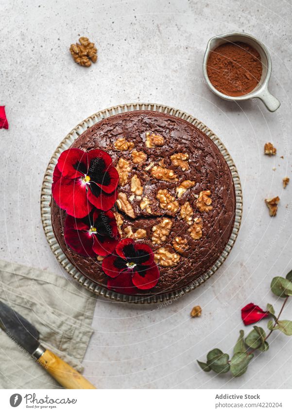 Cake with flowers and walnuts on table cake chocolate dessert sweet whole decoration garnish treat homemade baked delicious gourmet food tasty serve