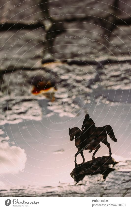 #A0# Dresden on horseback Dresden Old Town Puddle reflection Horse Rider Old town Exterior shot Historic Statue Saxony Tourist Attraction