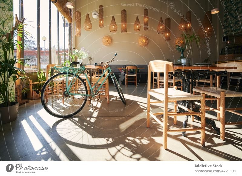 Interior of modern cafe with wooden furniture interior restaurant style bicycle sunlight cozy design decor plant comfort table chair seat potted green natural