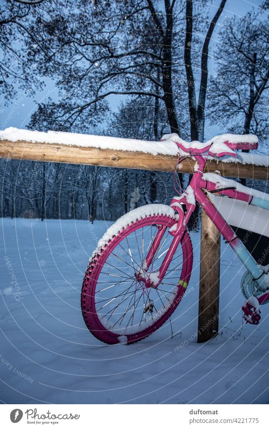 Pink bike in winter Bicycle Wheel Snow Winter Spokes Tire Exterior shot Means of transport Deserted Transport Metal Parking Cycling Mobility Movement