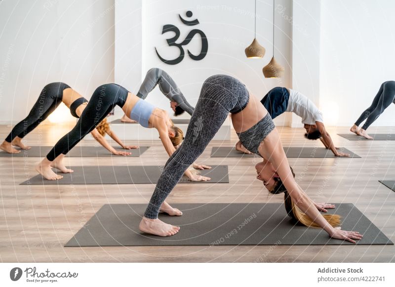 Company of people doing yoga together in studio class lesson pose downward facing dog pose practice group wellness healthy asana stretch flexible slim spacious