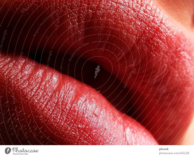 lipcloseup Provocative Extreme Risk Exciting Soft Sensitive Morning Lips Red Lipstick Woman Feminine Alluring Dangerous Kissing Crunchy Lipgloss Pink Close-up