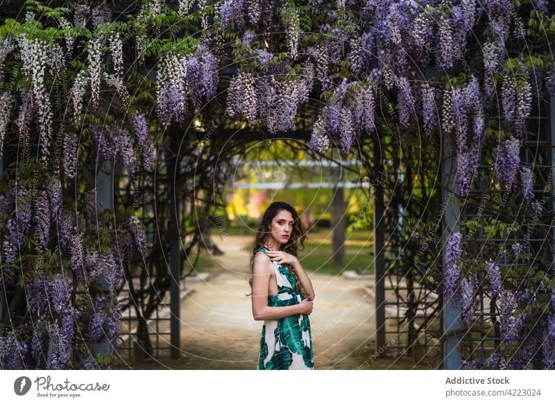 Gorgeous young woman standing in verdant garden park bloom style sundress feminine calm gorgeous touch shoulder grace appearance attractive trendy beautiful