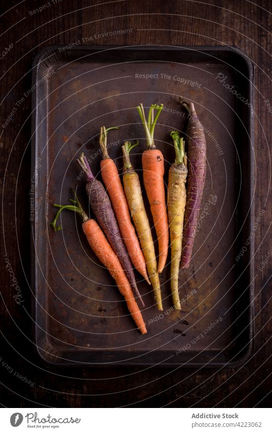 Assorted raw carrots with stems in baking pan vegetable natural product vegan healthy food unpeeled assorted organic vegetarian various ingredient fresh vitamin