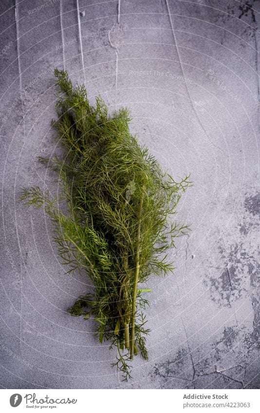 Bunch of fresh dill on gray background bundle herb aromatic natural organic ingredient edible lush product vegan healthy food stem vegetarian bunch rugged
