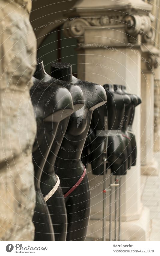 Naked headless mannequins in a row between columns Mannequin Row unclothed Fashion Body Black Plastic False Bottom Chest depth of field low decoration Column