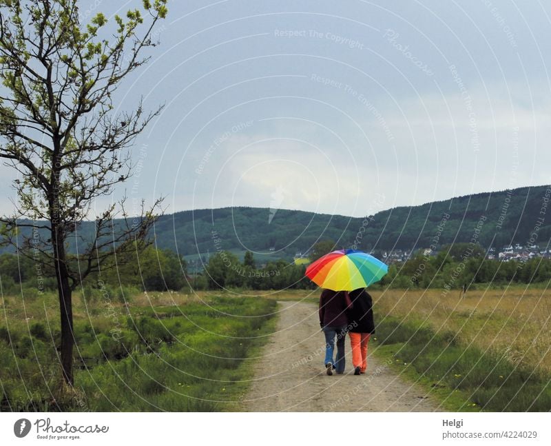well shielded - back view of two persons under a colorful umbrella on a path in the moor people Rear view Umbrellas & Shades variegated Landscape Nature