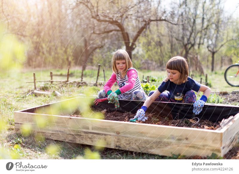 Two little girls gardening in urban community garden watering watering can urban garden environmental conservation sustainable lifestyle homegrown produce