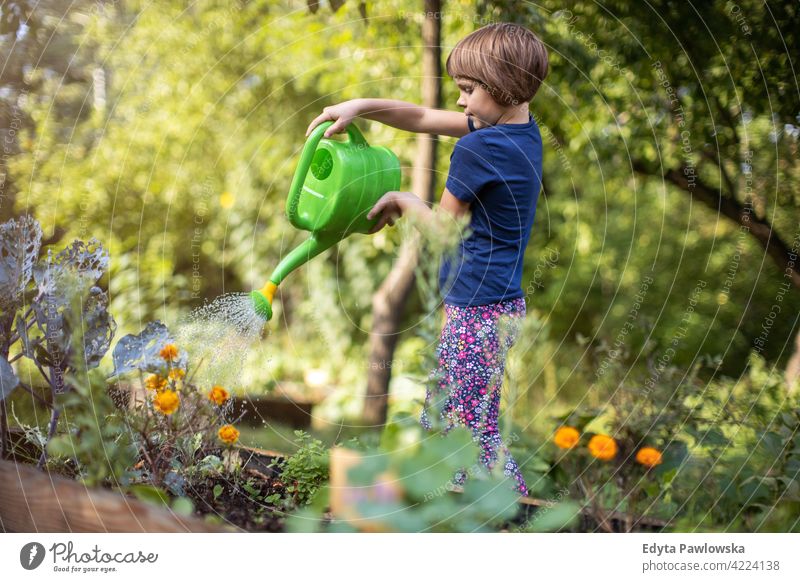 Cute little girl enjoy gardening in urban community garden watering watering can urban garden environmental conservation sustainable lifestyle homegrown produce