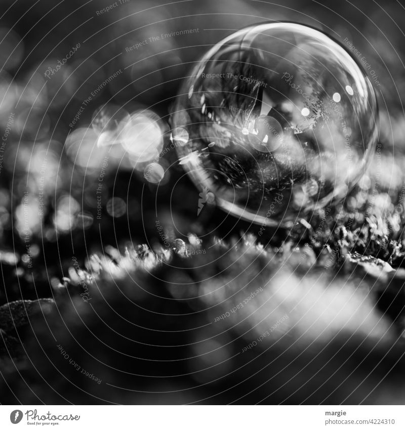 A soap bubble with light dots in black white Light Light (Natural Phenomenon) Bubble Soap bubble Deserted Sphere Earth Moss Reflection Shallow depth of field