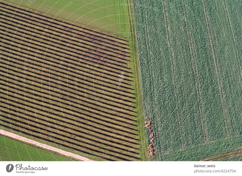 Bird's eye view of farmland acre country arable land Pattern Green Brown furrows lines Field fields Agriculture Landscape Nature Environment Growth