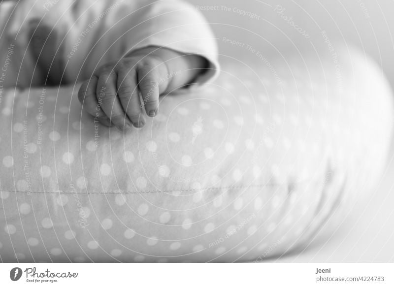 Little baby hand Baby Hand Fingers Hands fingernails Arm arm Cushion sleeve Human being Small Skin Lie Diminutive Infancy Cute Toddler Detail Child White