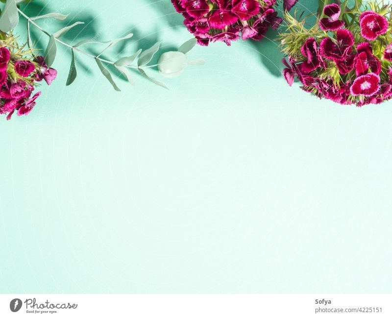 Pastel green turquoise background with pink flowers woman mockup valentine mother day easter womens day pastel floral design plant summer abstract color spring
