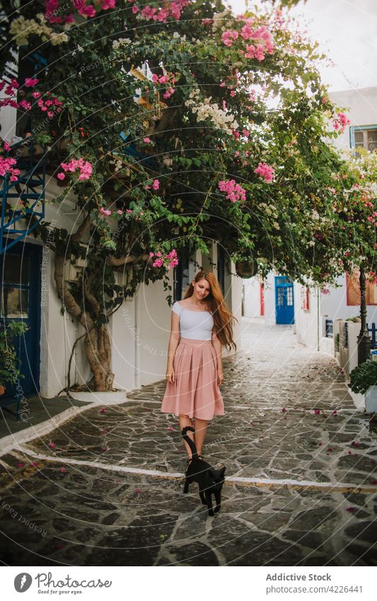 Woman touching blooming tree flowers in narrow village street woman authentic pedestrian typical blossom settlement plaka milos greece tranquil stand lifestyle